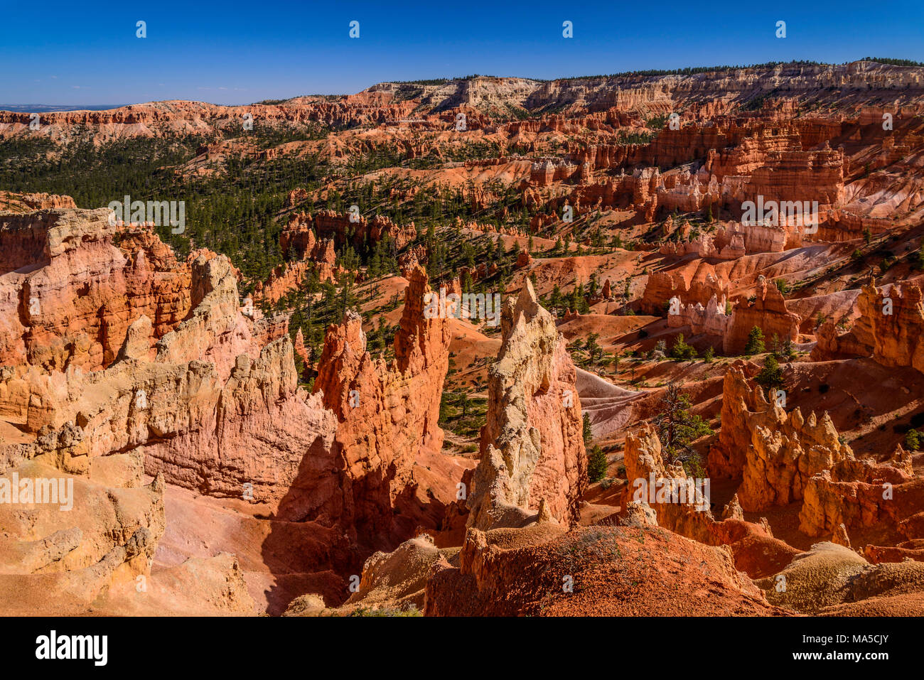 USA, Utah, Garfield County, Bryce Canyon National Park, Sunrise Point, Amphitheater with Queens Garden Stock Photo