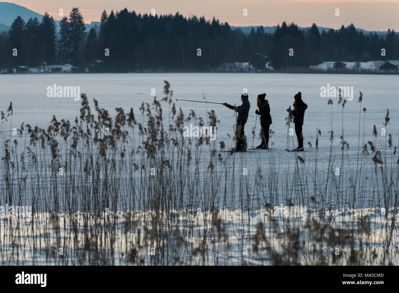 Three cross-country skiers on the frozen Staffelsee in Upper Bavaria, Germany Stock Photo