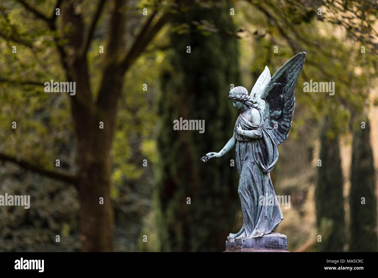 Angel statue, cemetery of Ohlsdorf, Hamburg, Stock Photo