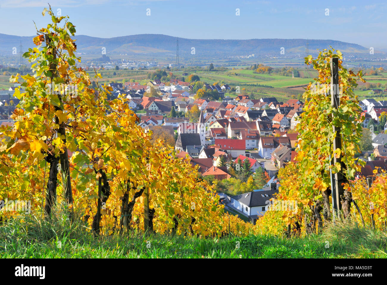 Germany, Baden-Württemberg, basket, vineyard, view to Kleinheppach Stock Photo