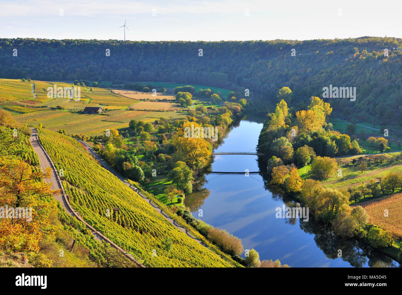 Felsengärten (nature reserve) close Hessigheim, Neckar, Neckartal, Baden-Wurttemberg, Germany Stock Photo