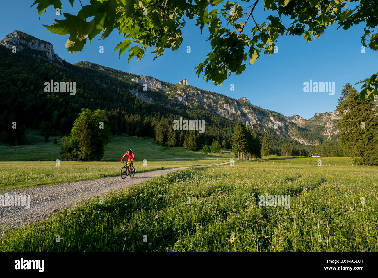 Mountain bike scene in the Längental, close Leggries (municipality), Bavarian Alps, Bavaria, Germany Stock Photo