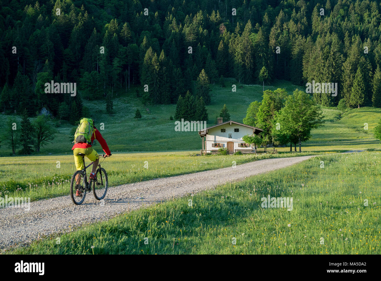 bike scene