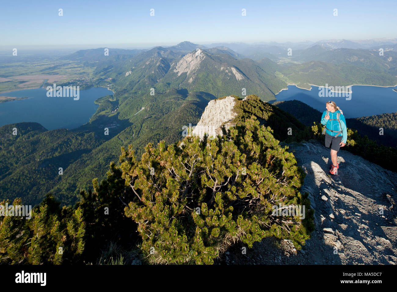 hiking-scene-at-the-herzogstand-with-views-of-lake-kochelseeand-lake