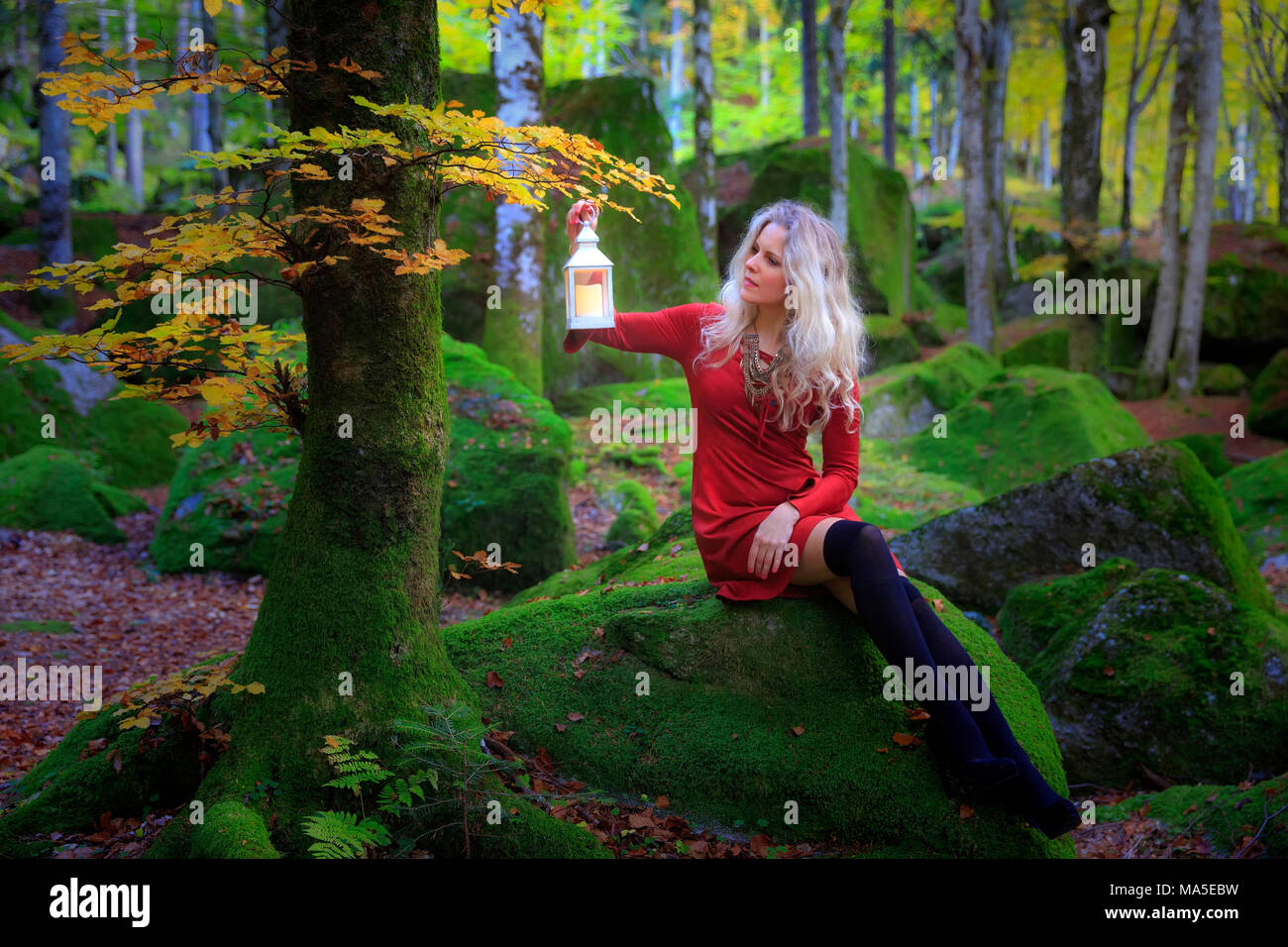 Girl in red dress sit on a rock with musk looking at a tree with a lantern, foresta di masino, valmasino, lombardy, italy Stock Photo