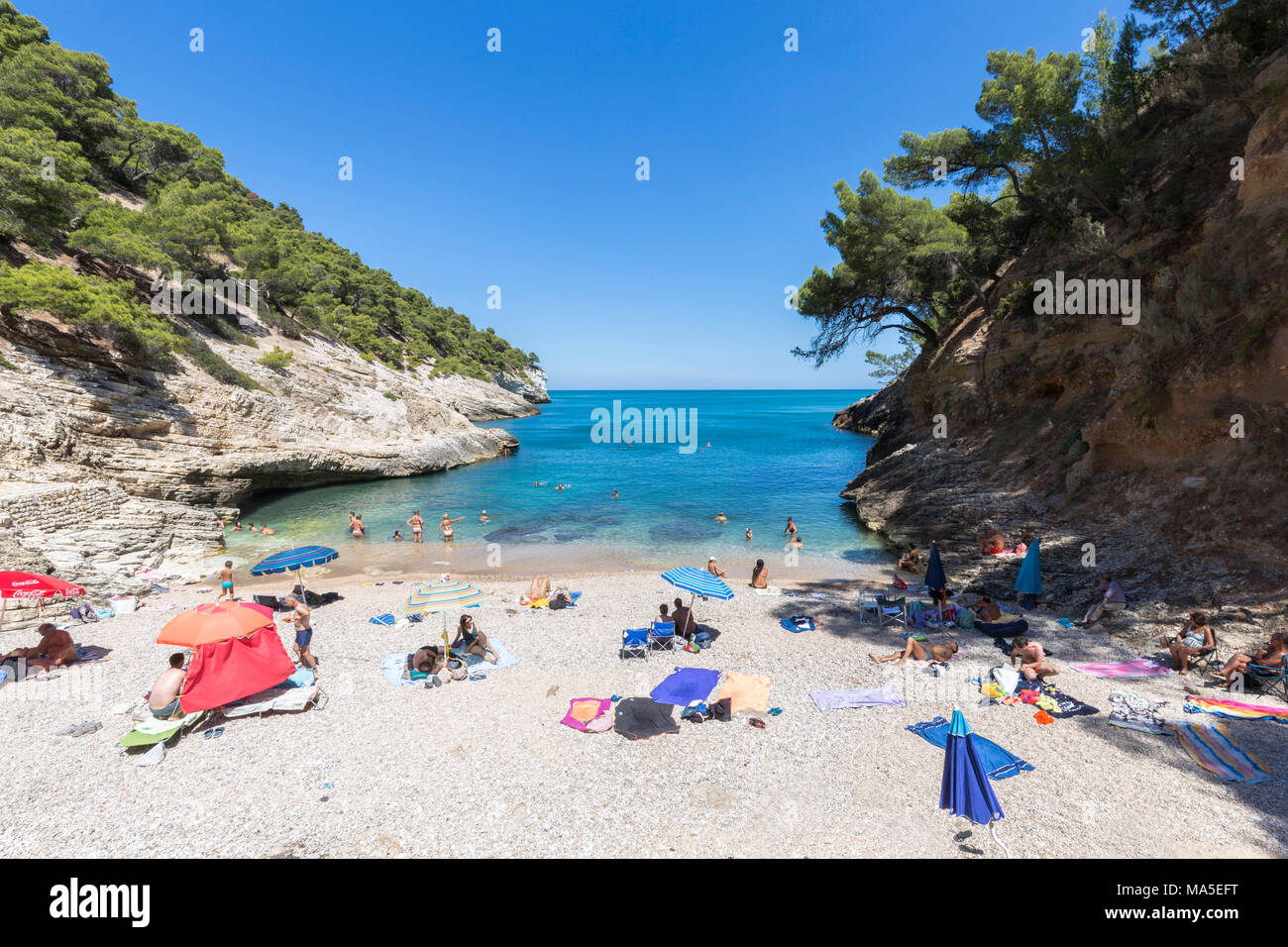 Baia della Pergola, Loc. Pugnochiuso, Gargano National Park, Vieste  village, Foggia district, Apulia, Italy Stock Photo - Alamy