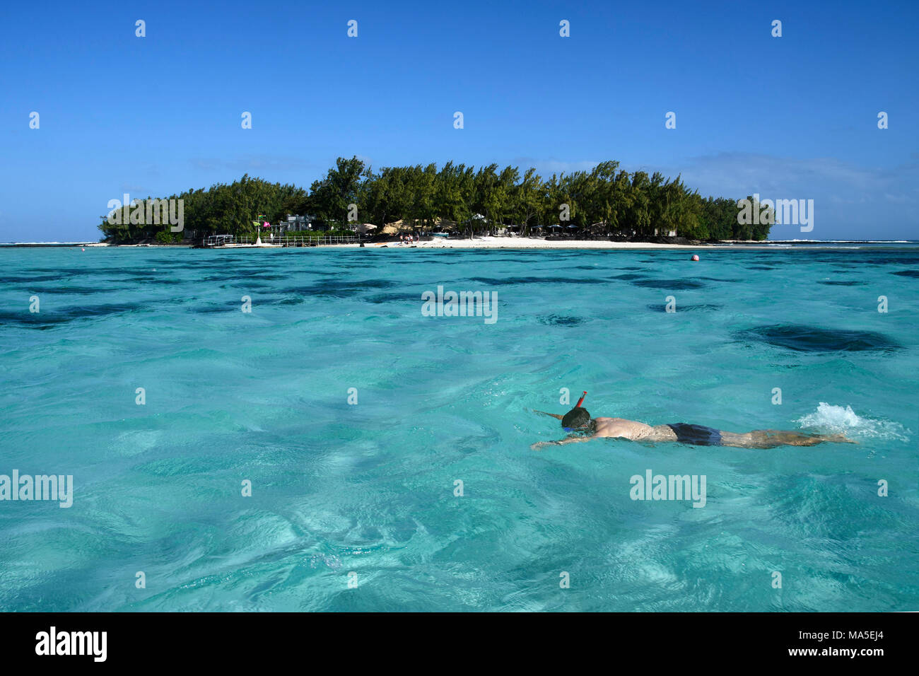 Men snorkeling to Coco Island, Mauritius, (Mauritian Stock Photo Alamy