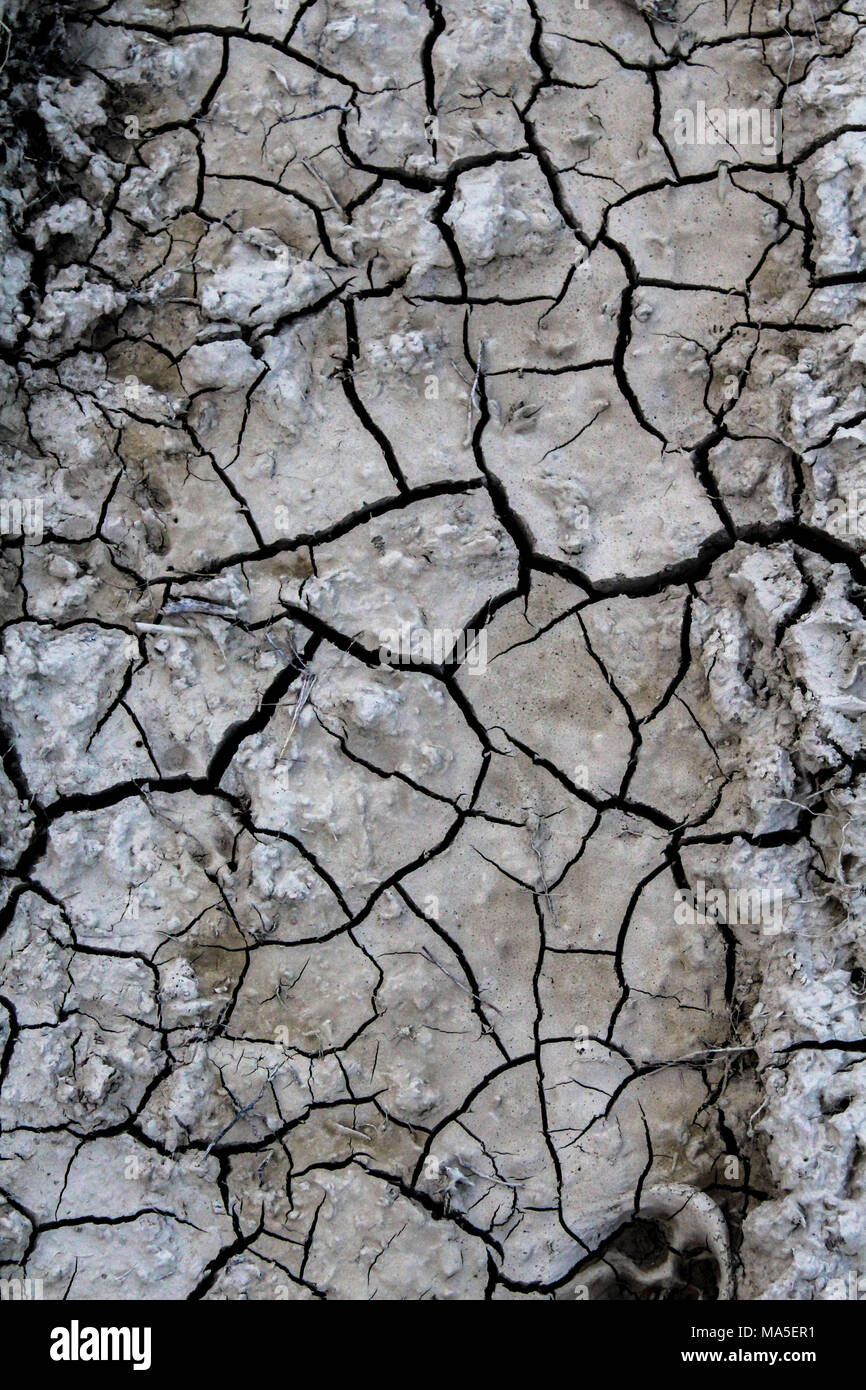 Cracks details dry hi-res stock photography and images - Alamy