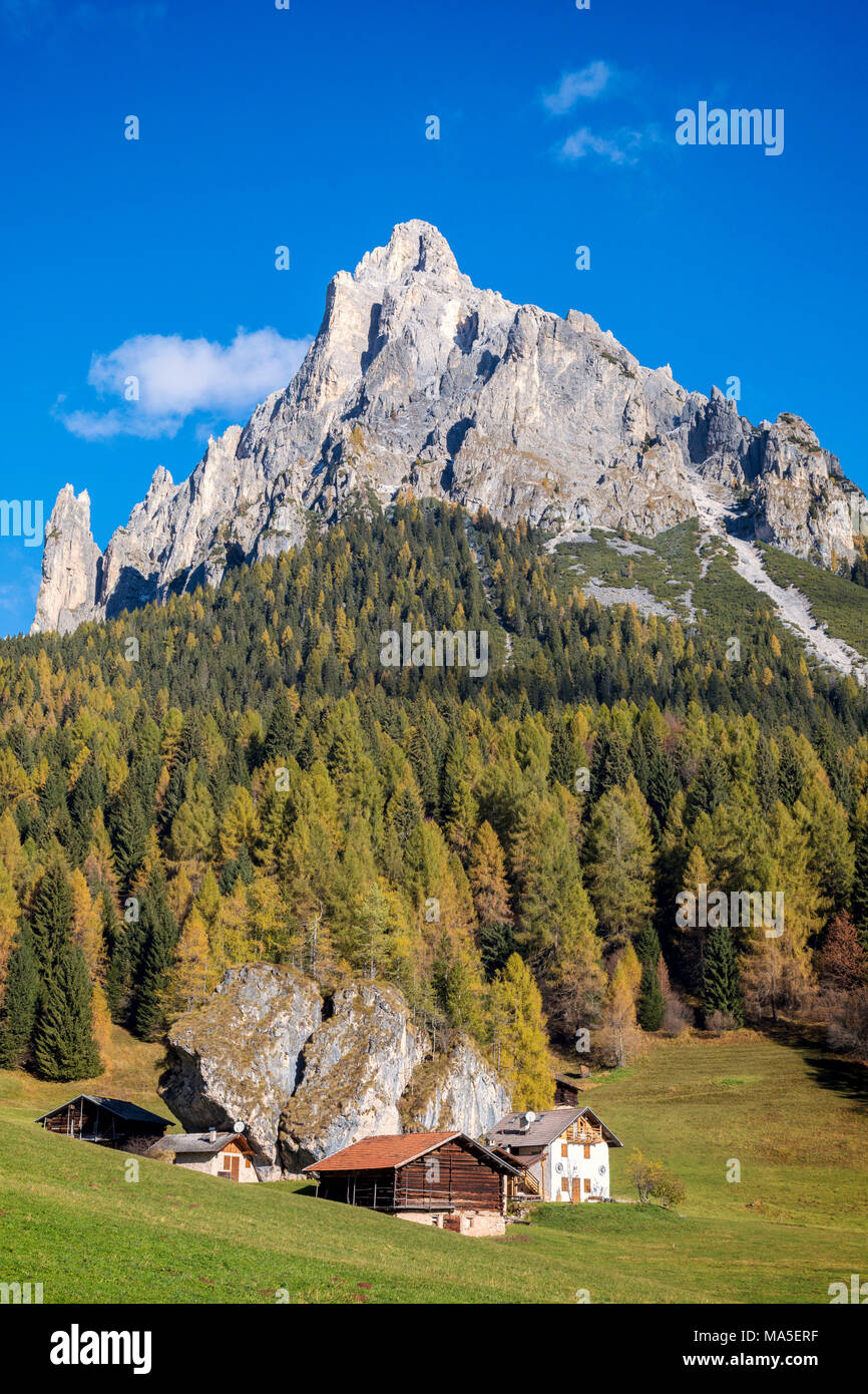 Fosne, typical alpine village with mount Cimerlo in the background, Fosne, Primiero valley, Trentino, Dolomites Stock Photo
