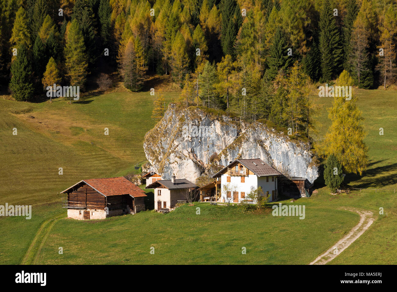 Fosne, typical alpine village, Fosne, Primiero valley, Trentino, Dolomites Stock Photo