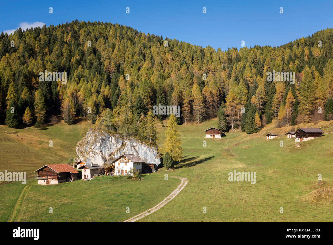 Fosne, typical alpine village, Fosne, Primiero valley, Trentino, Dolomites Stock Photo