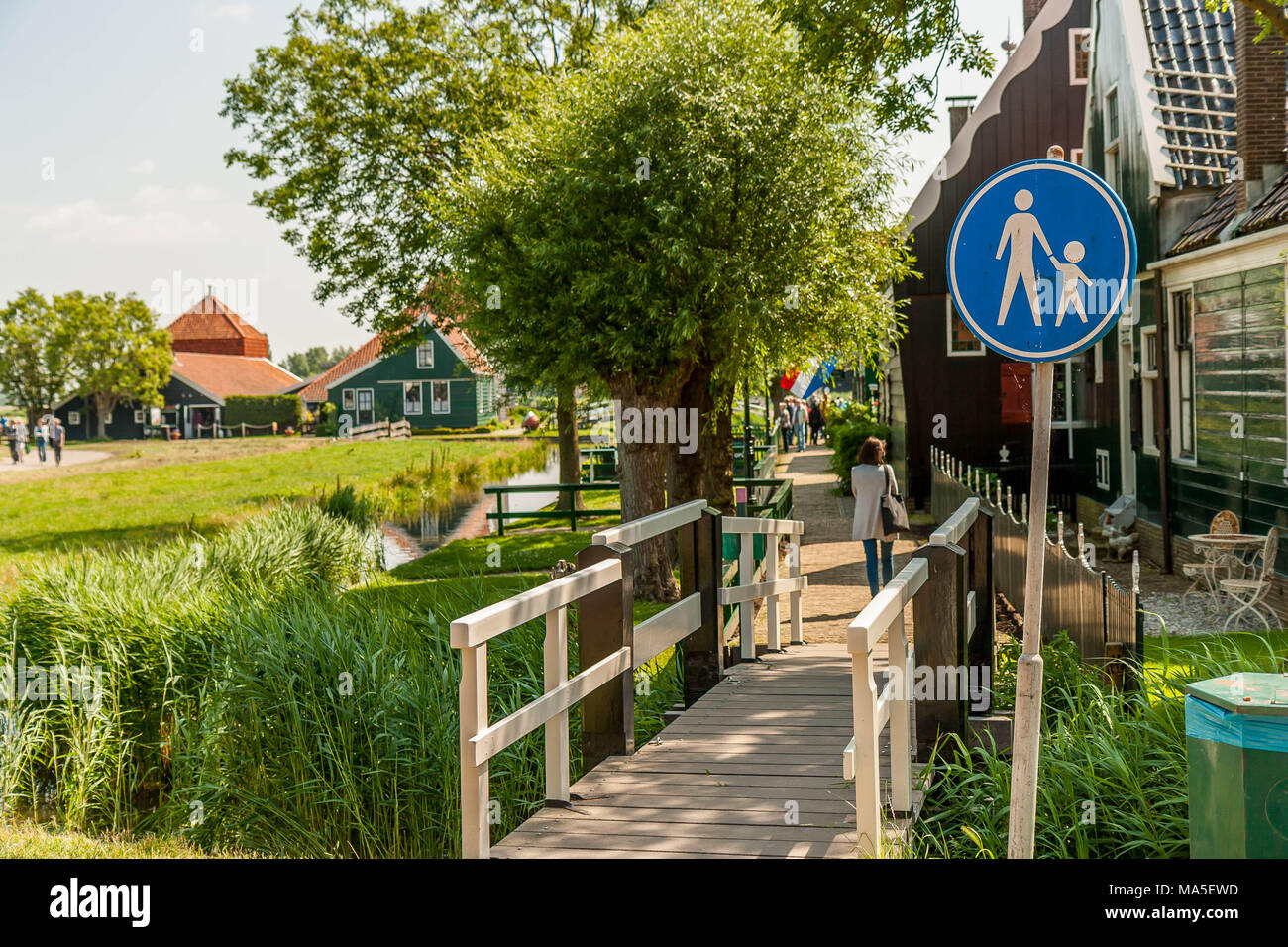 Summer at Zaanse Schans Windmill Village Stock Photo Alamy