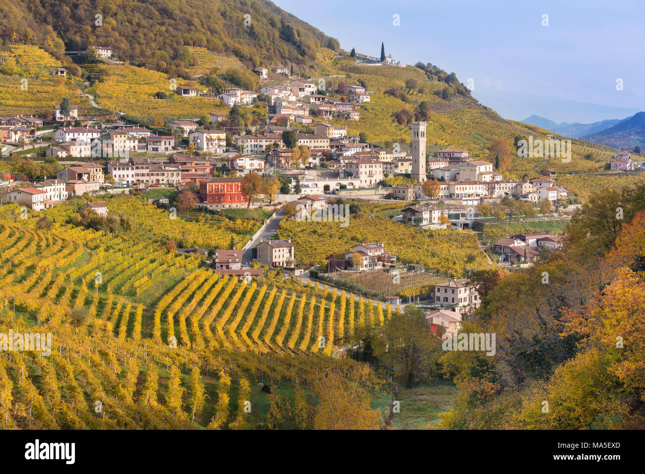 the village of Santo Stefano surrounded by the yellow vineyards in autumn, along the road of wine, Valdobbiadene, Treviso, Veneto, Italy Stock Photo