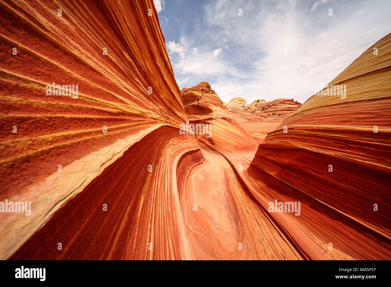 The Wave, Coyote Buttes North, Paria Canyon-Vermillion Cliffs Wilderness, Colorado Plateau, Arizona, USA Stock Photo