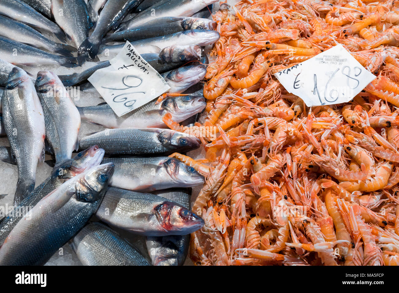 Fish on sale at fish market near Rialto, Venice, Veneto Italy Stock Photo