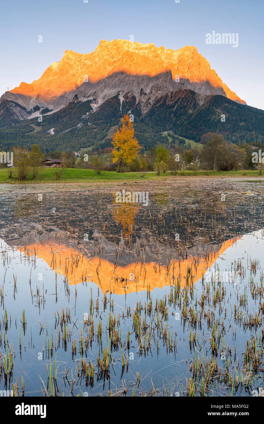 Ehrwald, Reutte district, Tyrol, Austria, Europe. Stock Photo