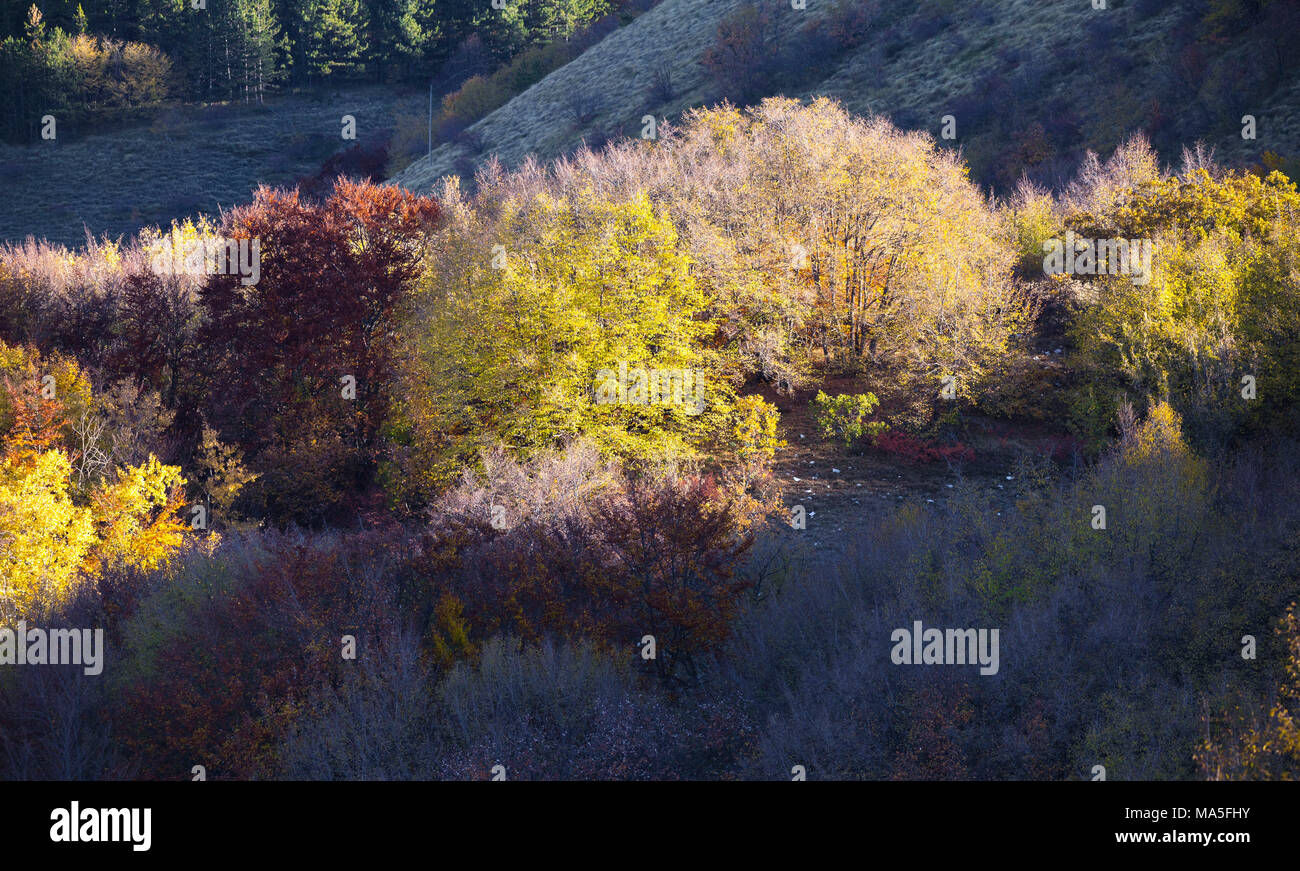 The colors of autumn in gran sasso national park hi-res stock ...