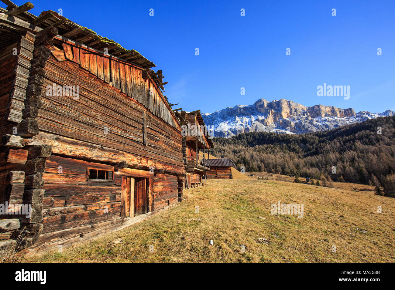 Chalet in Badia valley, in the background Sas dla Crusc mountain. Italy, Trentino Alto Adige, Sudtirol Stock Photo
