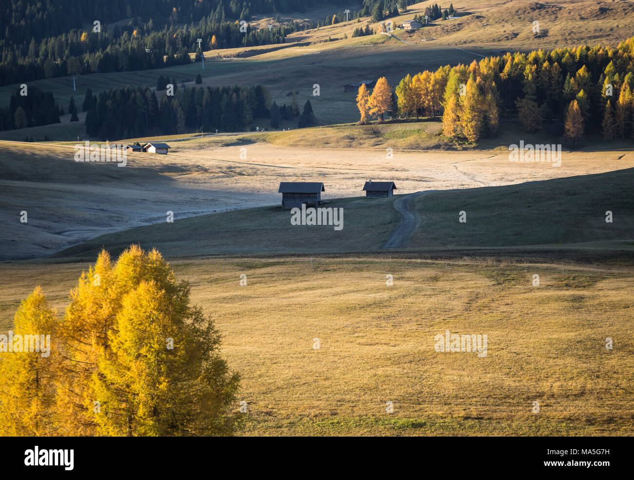 Alpe di Siusi, South Tyrol, Italy Stock Photo