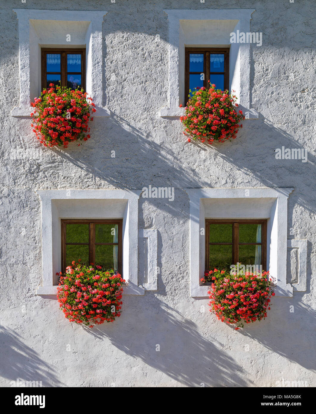 Window with Geraniums (Pelargonium sp.) on a facade of an old building in South Tyrol, Rasen-Antholz, Bolzano, Italy Stock Photo