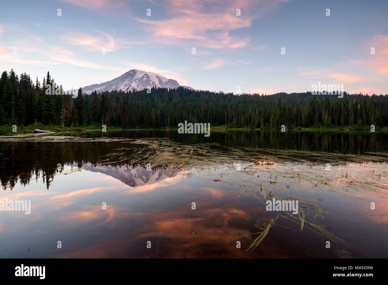 Mount Rainier from Reflection Lakes; Mount Rainier National Park, Ashford; State of Washington; Usa Stock Photo