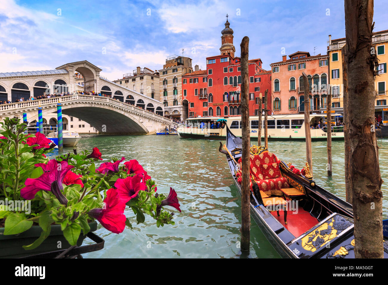 Venice rialto bridge in background hi-res stock photography and images ...
