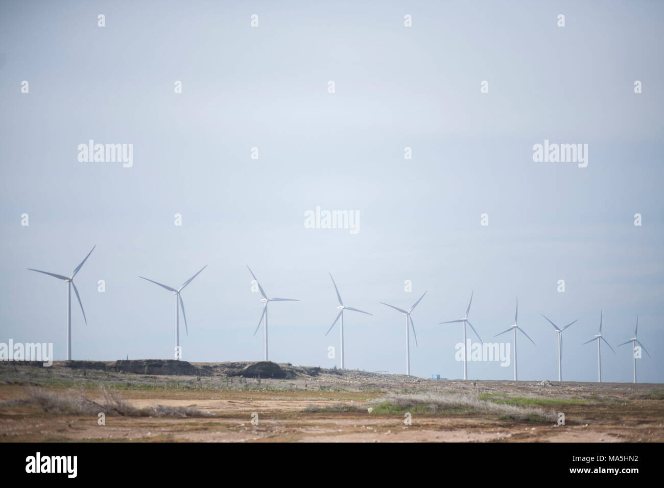 bunch of windmills on aruba, dutch caribbean, netherlands antilles Stock Photo