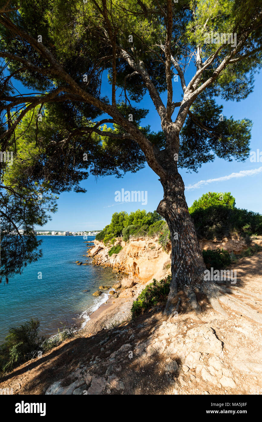 Europe, Balearic Islands, Majorca, Palmanova, Son Caliu Stock Photo