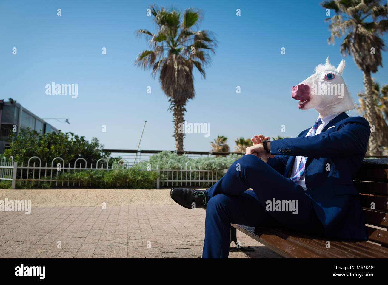 Young man in elegant suit sits on the bench on the city street. Unusual guy in funny mask have a break in park. Unicorn is enjoying outdoors Stock Photo