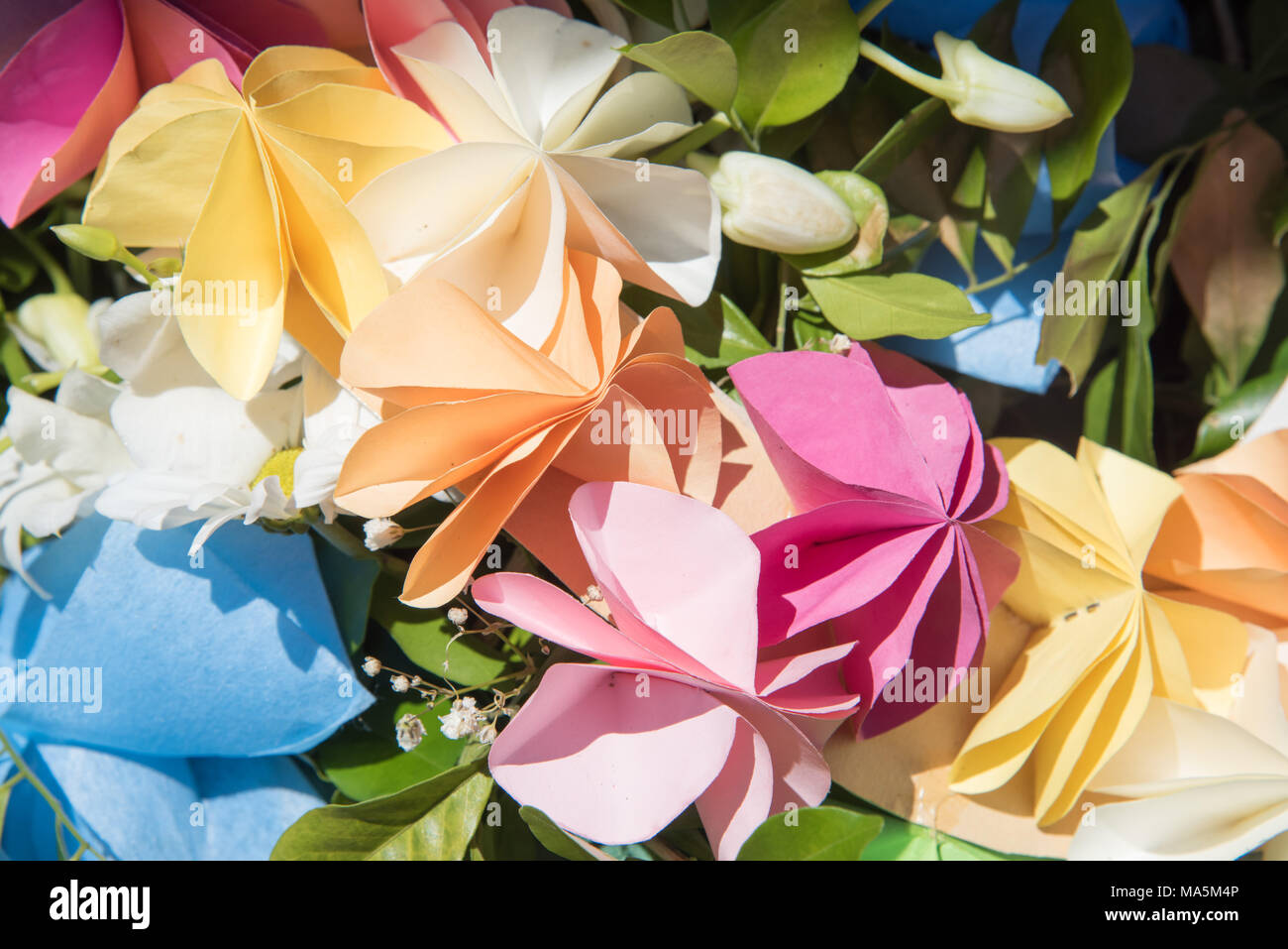 Closeup of origami pastel coloured folded paper flowers Stock Photo Alamy