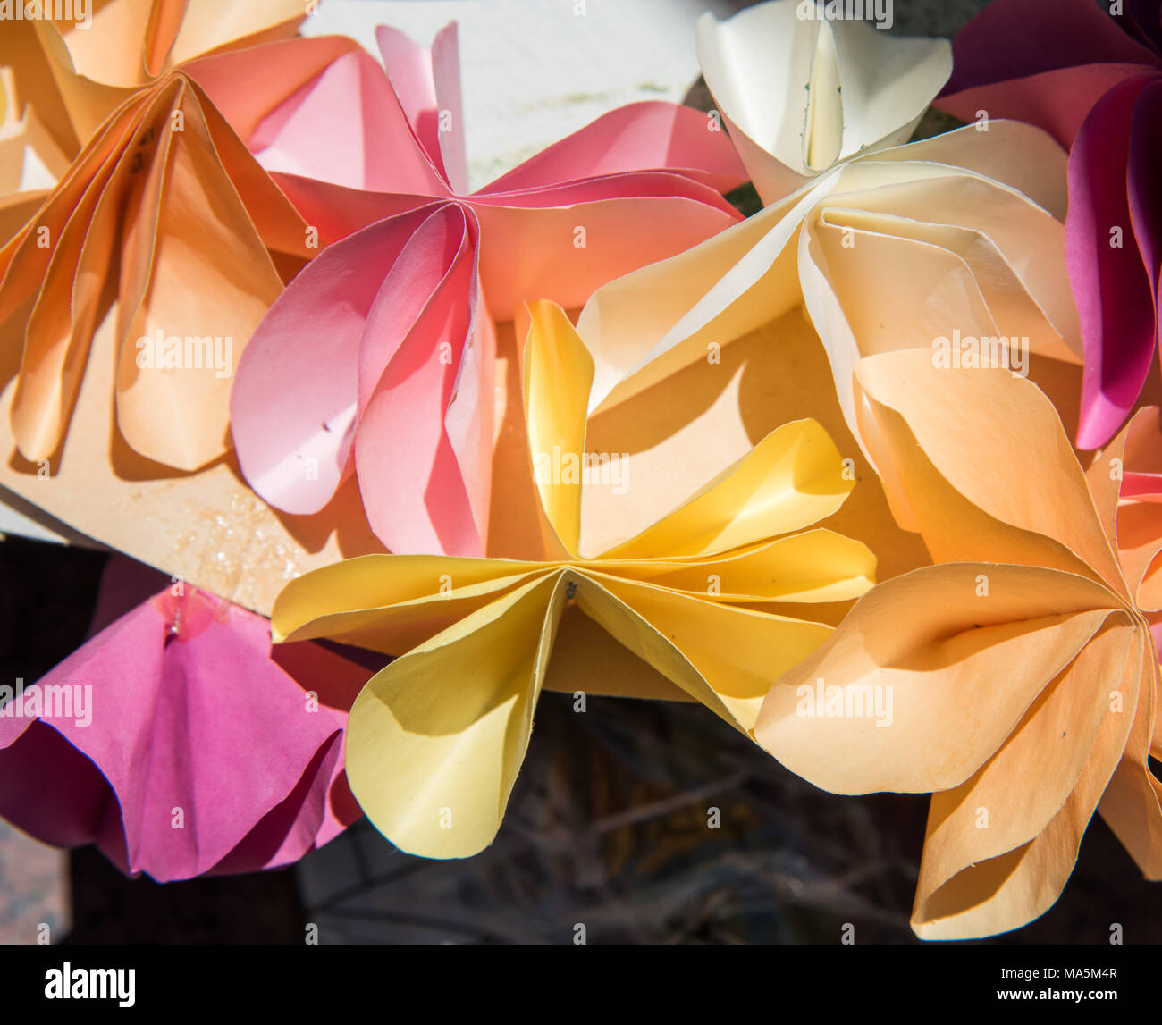 Closeup of origami pastel coloured folded paper flowers Stock Photo Alamy