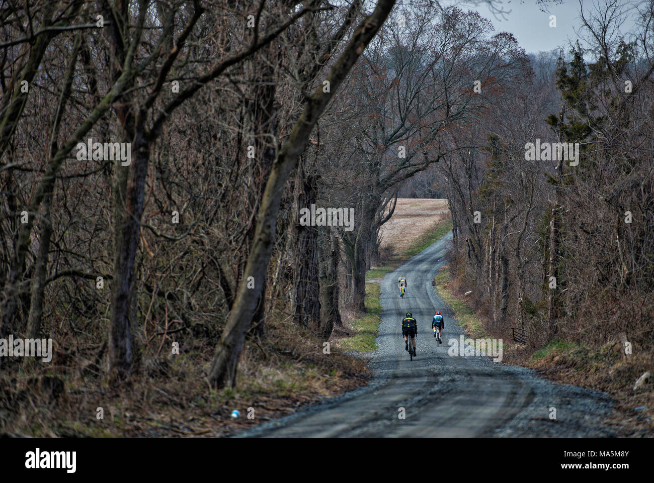 UNITED STATES: March 29, 2018: Bicycle riding has become really popular on the historic gravel roads in in Western Loudoun County Virginia. (Photo by  Stock Photo