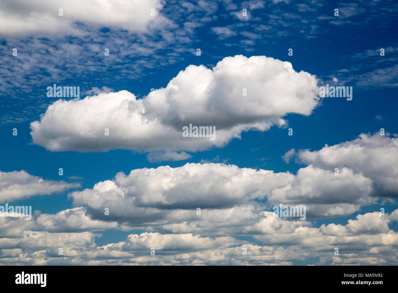 Cumulus Clouds  near Worthington, Iowa. Stock Photo