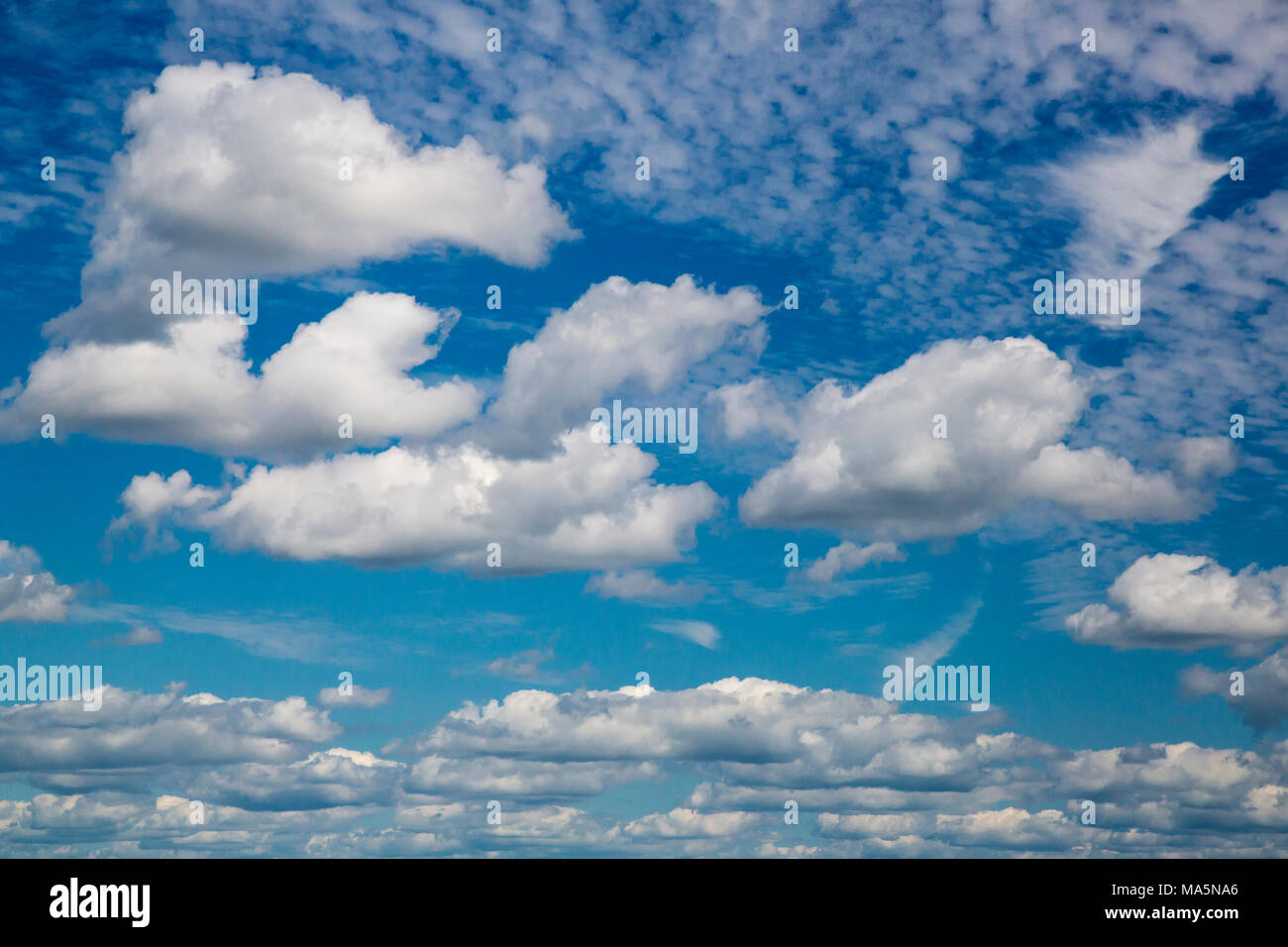 Summer Cumulus Clouds near Worthington, Iowa. Stock Photo