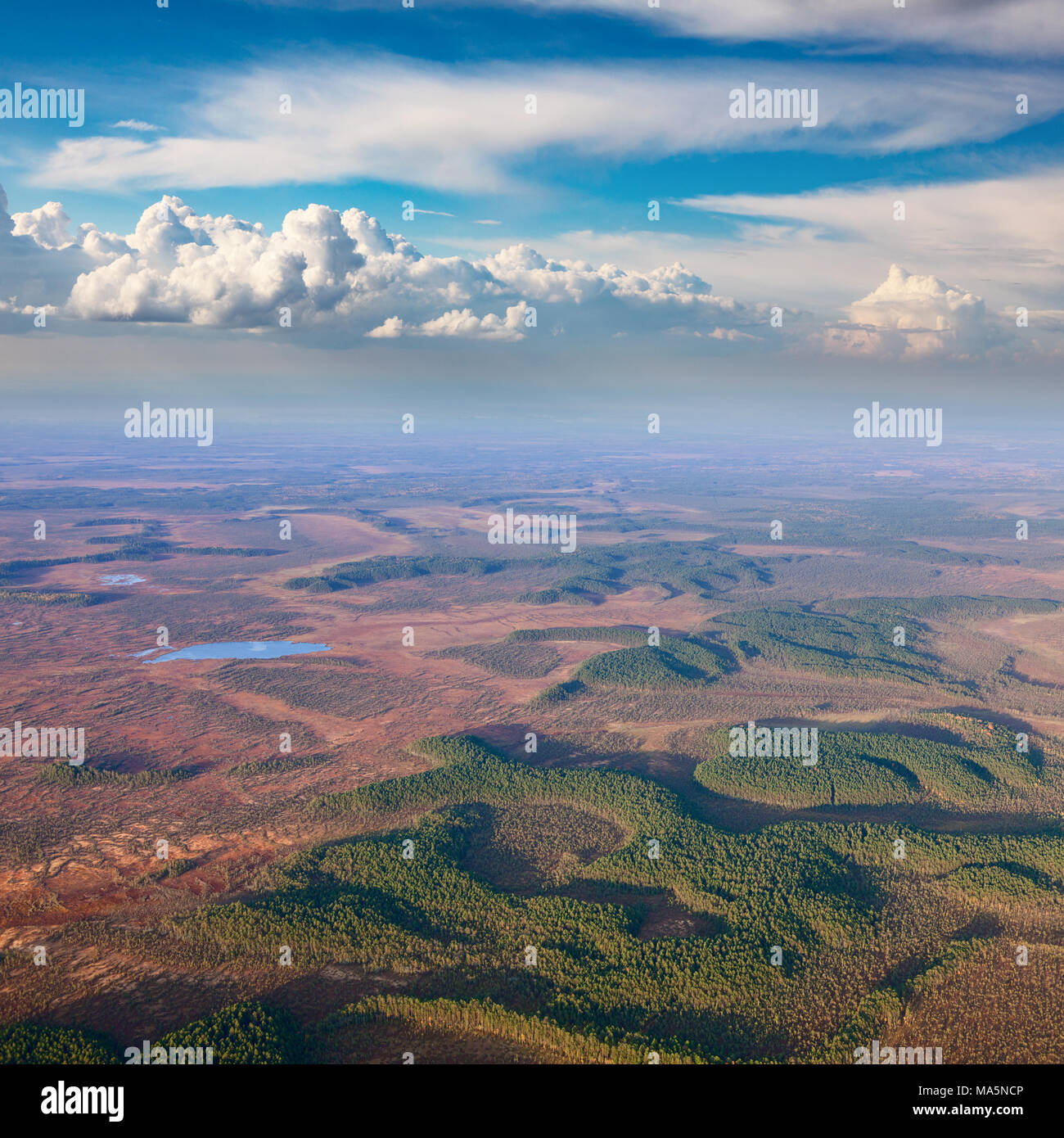 Top view perspective of autumn swampy terrain Stock Photo