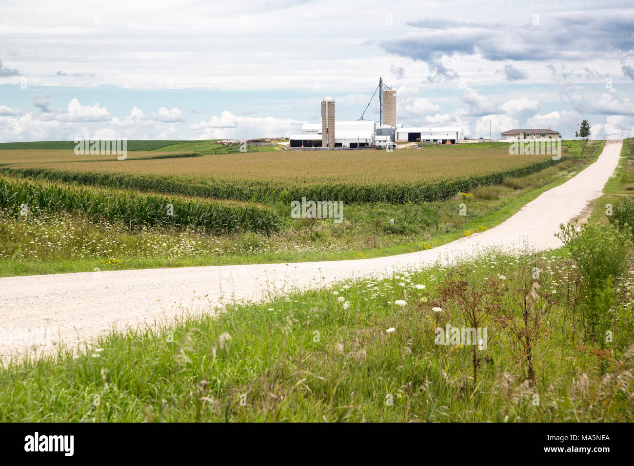 Hiteman Iowa Unpaved Gravel Country Road and farm, near Manchester, Iowa Stock Photo ...