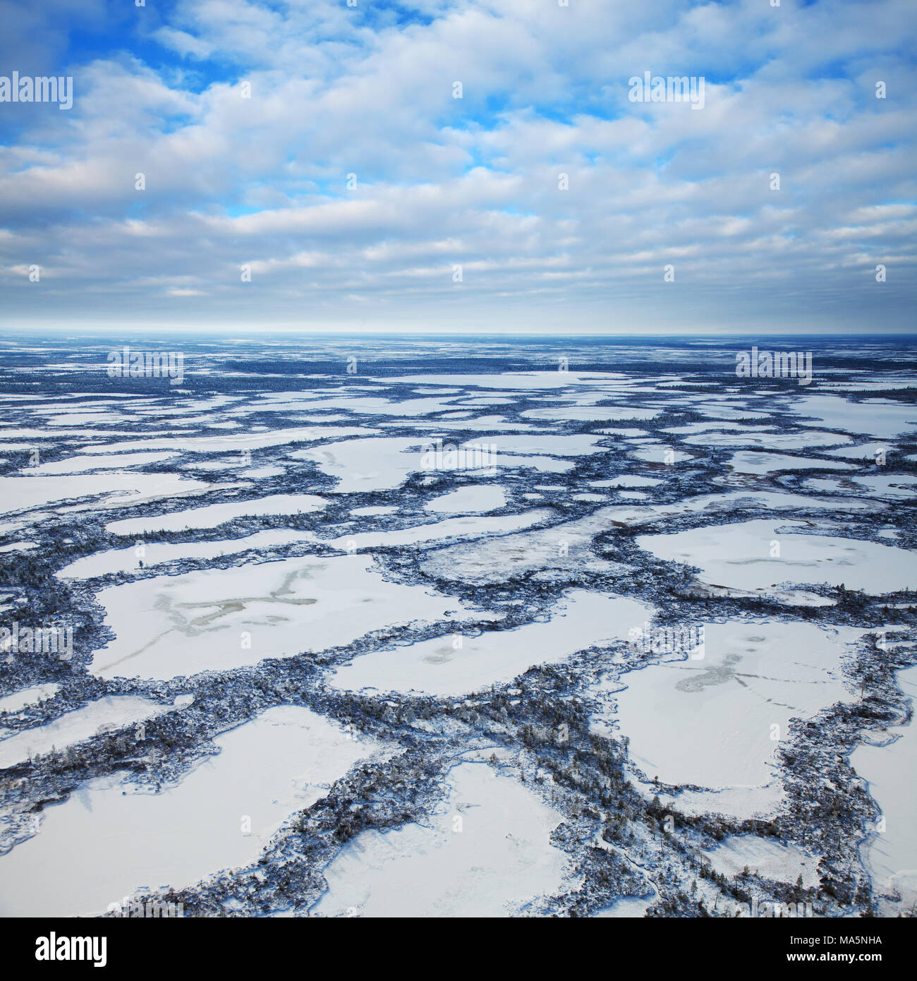 Marshes are covered snow, top view Stock Photo