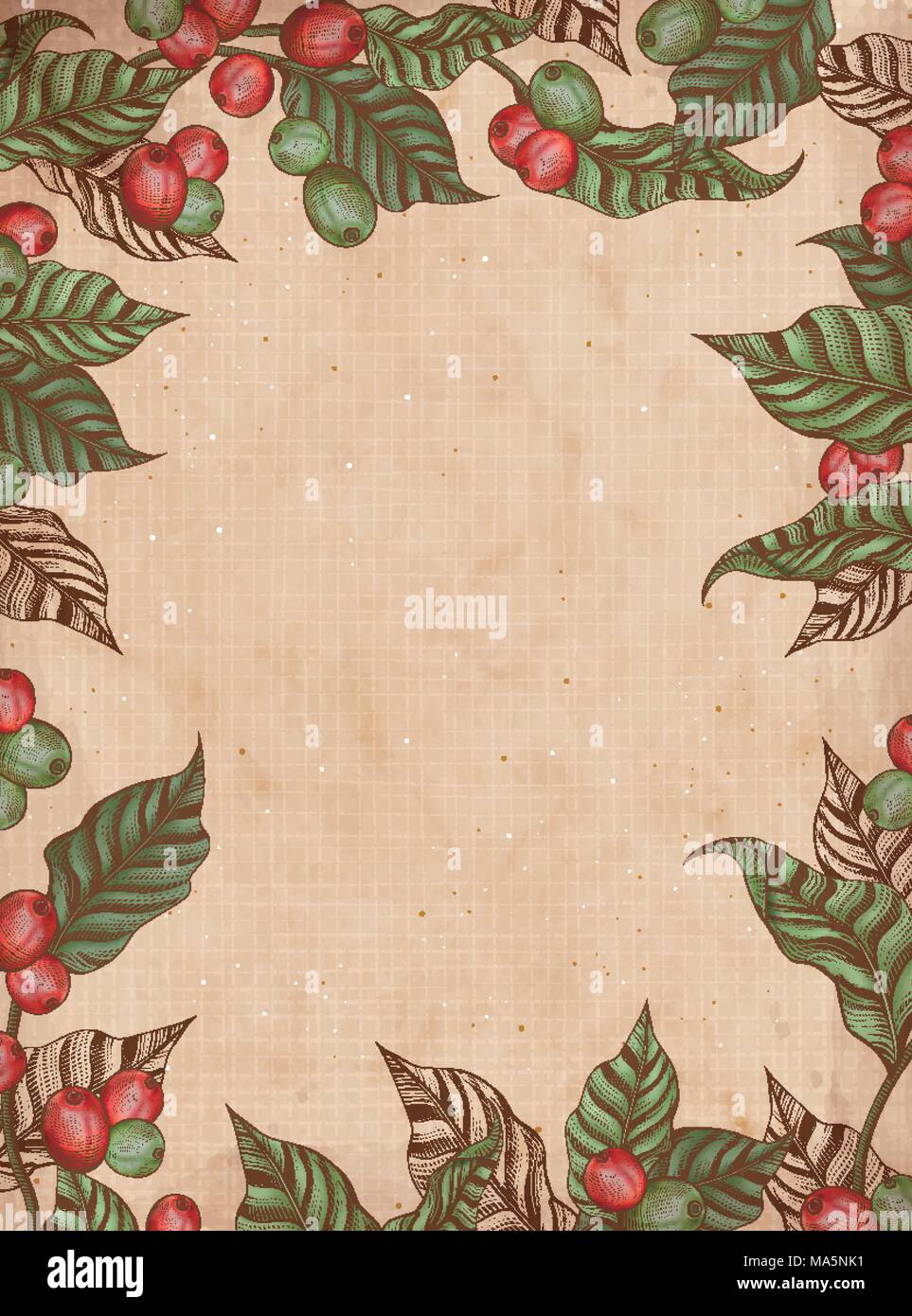 Engraving coffee plants frame, vintage decorative background with