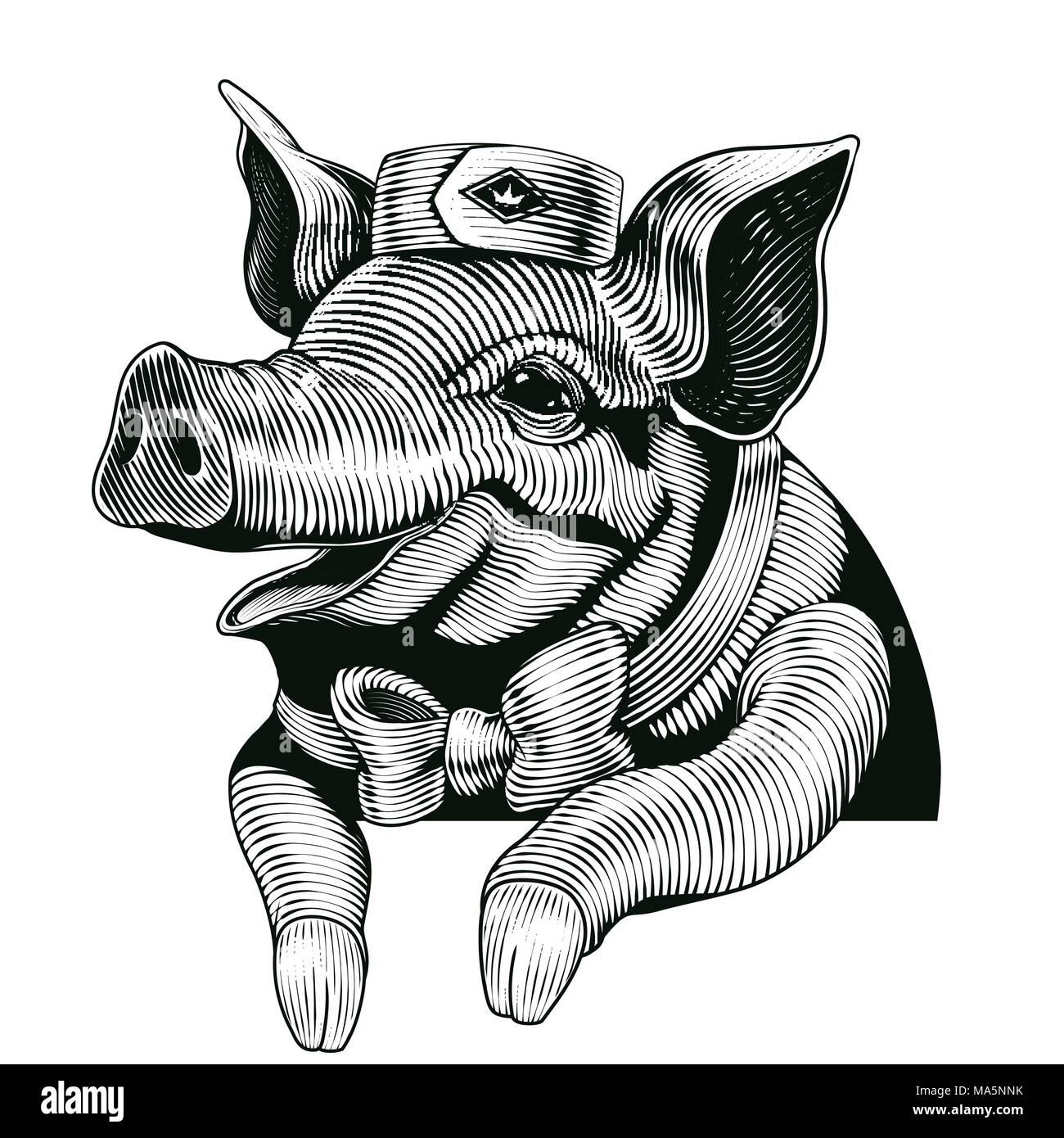 Engraving style pig, smiling pig design elements for delicatessen shop Stock Vector