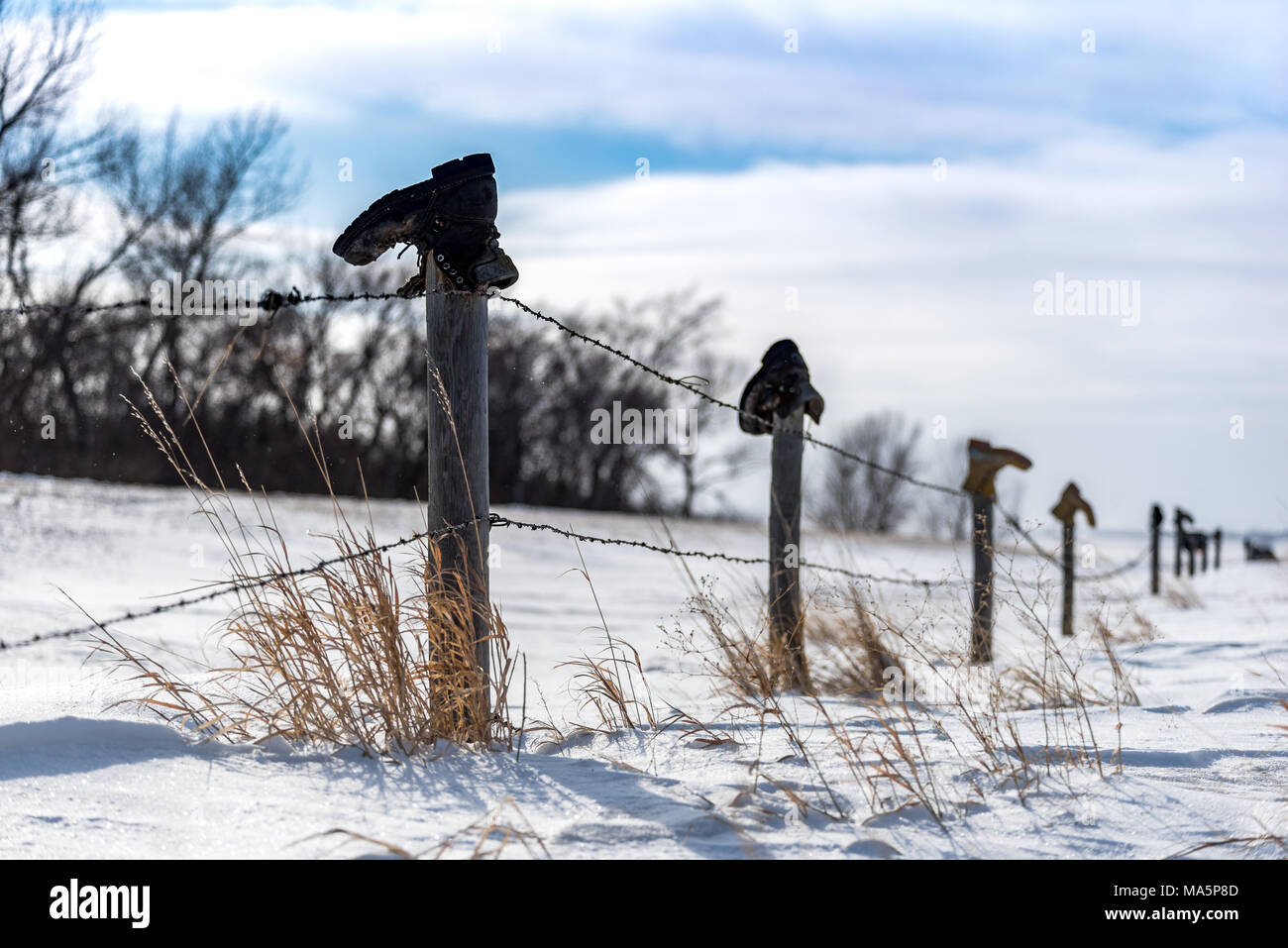 Old boots on top of fence posts south of Swift Current, Saskatchewan, Canada with tall grass poking out of the snow and blue sky Stock Photo