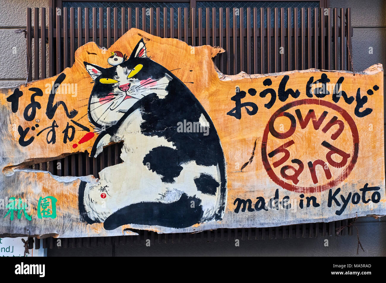 Chat Felin High Resolution Stock Photography And Images Alamy Chat Felin High Resolution Stock Photography And Images Alamy