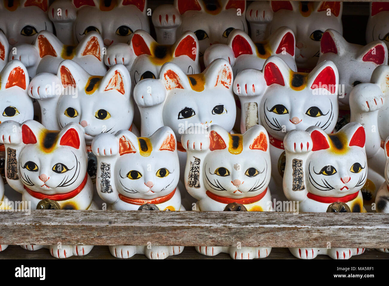 Japon, Tokyo, temple sanctuaire dédié aux chats // Japan, Tokyo, cat