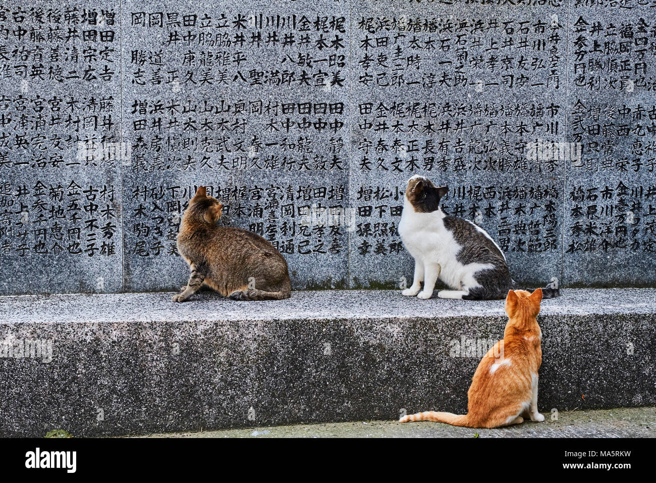 Aoshima japan hi-res stock photography and images - Alamy