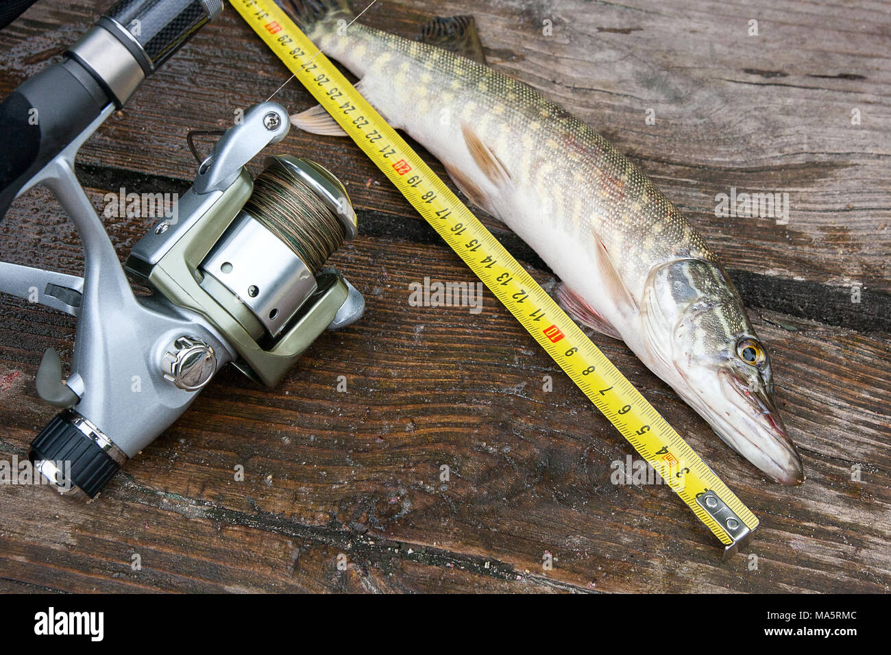 fishing tape measure