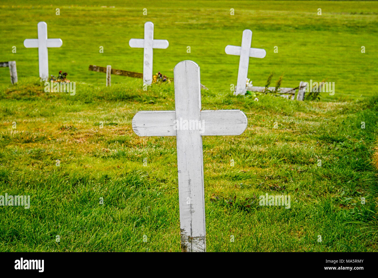 four white wooden and weatherd crosses on a green meadow Stock Photo ...