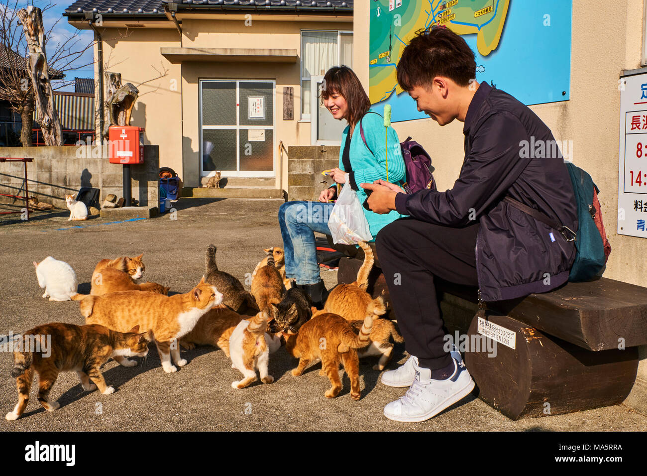 Japan, Shikoku island, Ehime region, Aoshima island, Cat island, local  tourist Stock Photo - Alamy