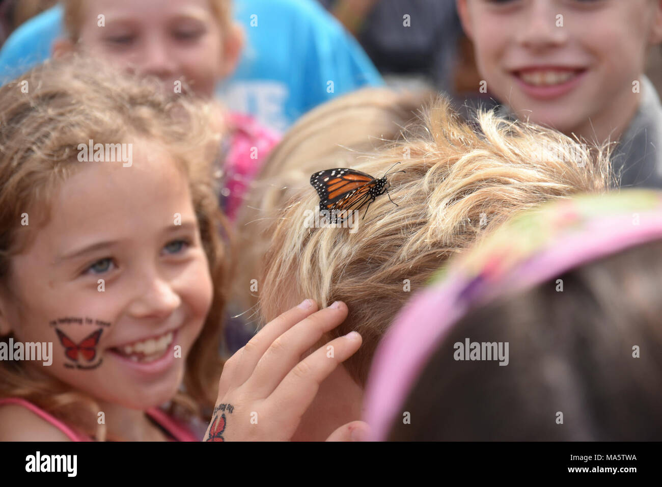 The last monarch butterfly released lands on student's head Stock Photo