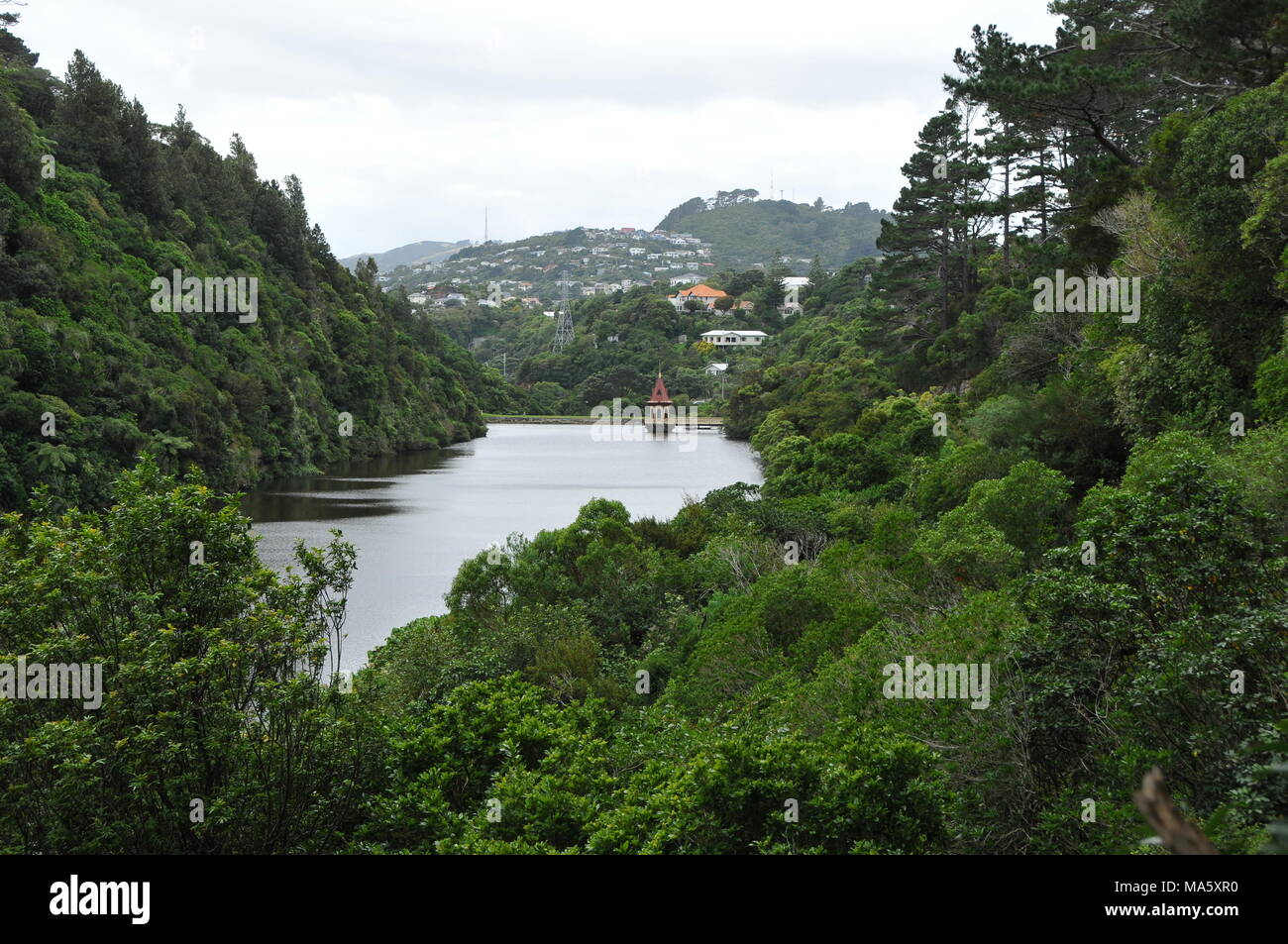 Karori reservoir Zealandia with native and introduced plants. The old valve tower is at the end. Beyond, suburbs of Wellington surround the sanctuary. Stock Photo