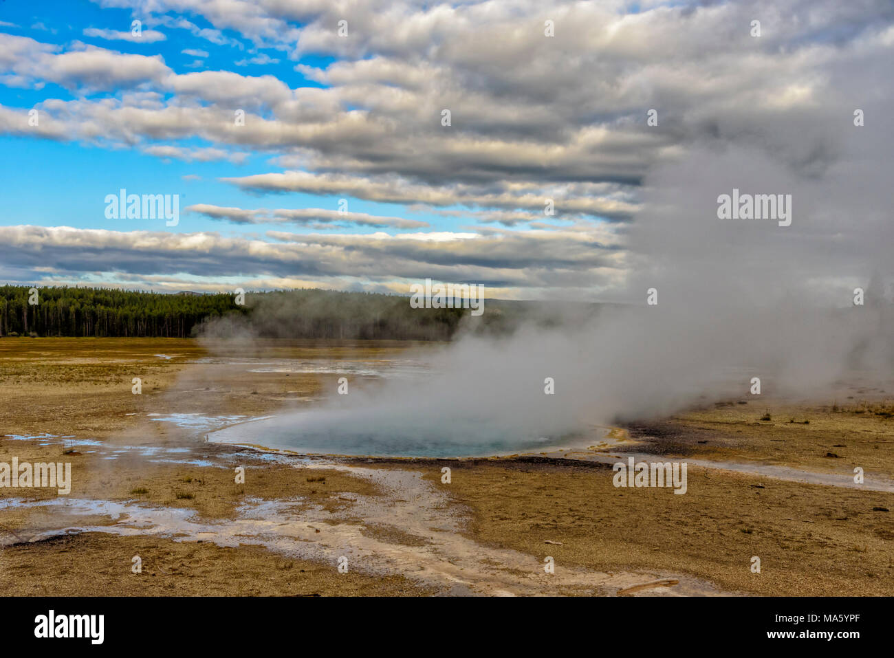 Hot spring with steam rising up off the water surrounded by dead grass, field with small streams and forest in background under blue sky with clouds. Stock Photo