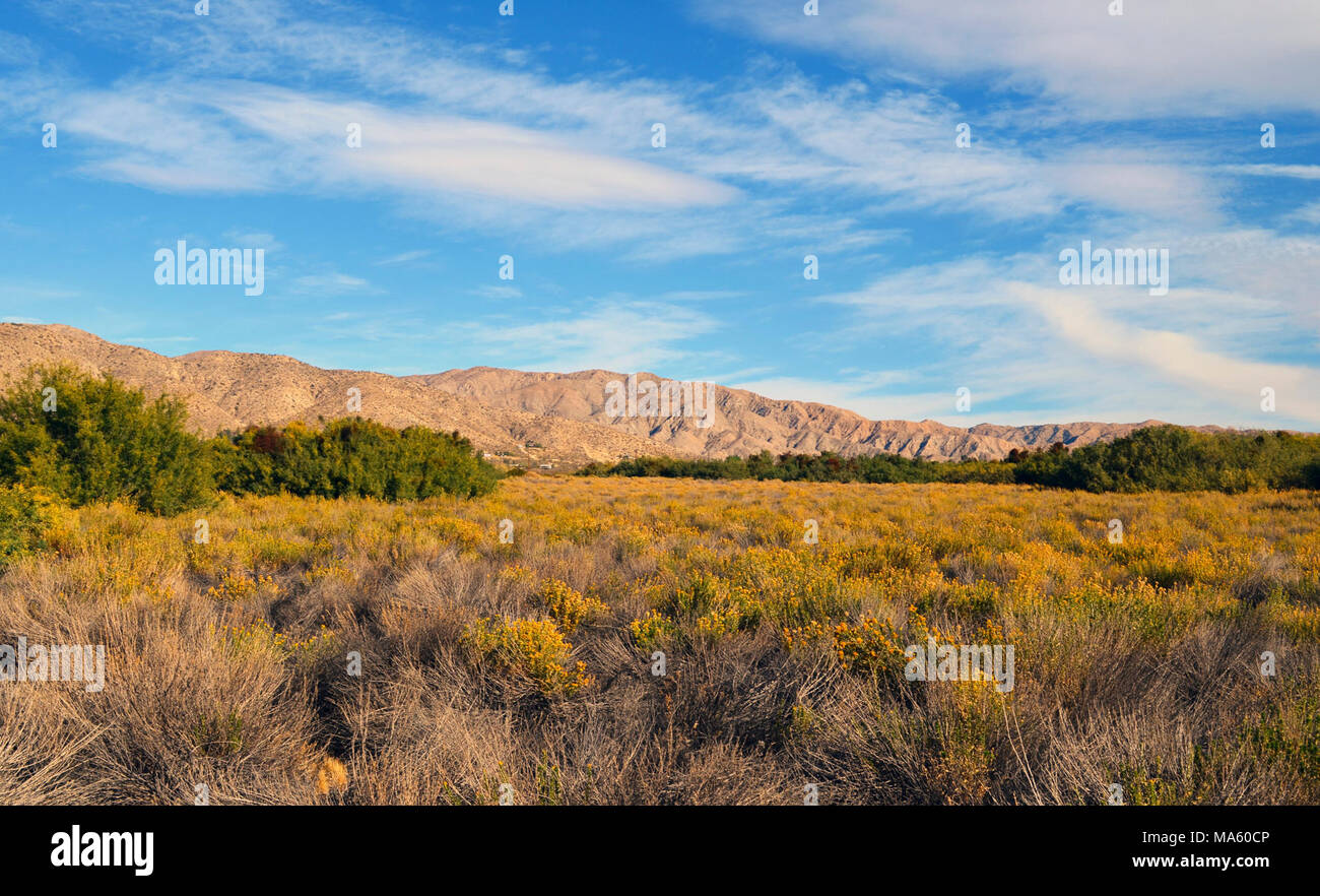 Morongo valley hires stock photography and images Alamy